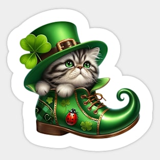 Exotic Shorthair Cat Shoes For Patricks Day Sticker